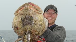 LINGCOD FISHING  The PROOF our tips work  Catch Giant Cod [upl. by Kipton]