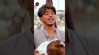 Bakra Mandi 2023 Part 4  Watch Till End [upl. by Nauqaj]