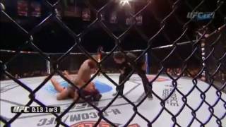 UFC 181  Travis Browne vs Brendan Schaub KO TKO Knockout [upl. by Auop]