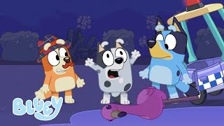 Bluey in Hindi 💙 🇮🇳  स्लीपओवर 😴  Full Episode  Hindi Cartoon for Kids [upl. by Richman]