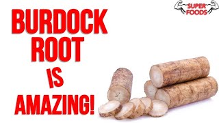 10 Burdock Root Benefits YOU NEED TO KNOW [upl. by Emmit]