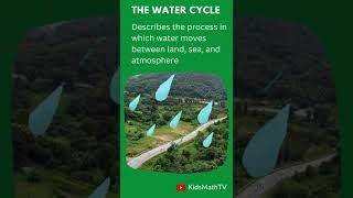 The Water Cycle Facts And Stages [upl. by Idolla]