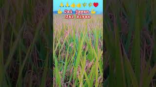 Mast jawani Teri mujhko pagal kar gayi re♥️♥️ short video 💪💪👍 [upl. by Kawai]