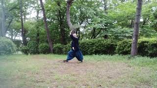 唐手 型・二十八（白鶴拳） Kata・NepaiWhite crane fist [upl. by Lydia]