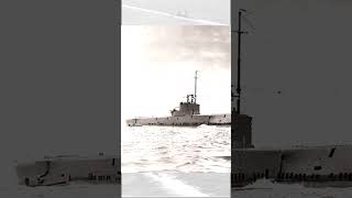 Lo speronamento del sommergibile HMS Cachalot ww2 marina 2gm storia [upl. by Ardnaeel]