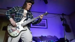 Suicidal Tendencies  You Cant Bring Me Down bass cover [upl. by Soloma279]