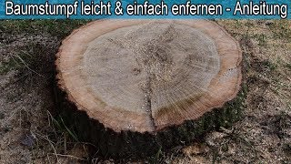 Großen Baumstumpf mit Wurzel mühelos amp einfach entfernen – Tipps amp Tricks – Lifehack im Garten [upl. by Zwick]