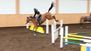 Springreiten  Trainingsvideo [upl. by Nedearb]