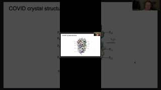 Protease inhibition and the COVID19 receptor [upl. by Anialram]