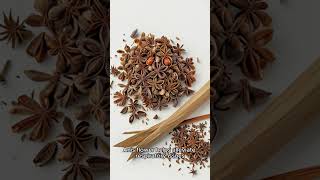 Health Benefits of Anise Flower  YT Blossom wellness facts healthbenefits [upl. by Nmutua838]