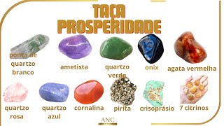 888  TAÇA DA PROSPERIDADE [upl. by Hiroko983]