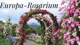 walking in EuropaRosarium paradise for rose lovers [upl. by Aseram757]