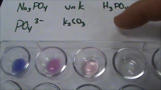 Phosphate Anion Test for Qual Lab [upl. by Atiekan]