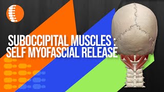 Guide to self myofascial release the suboccipital muscles [upl. by Yrtneg]