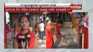 Devotees throng Maa Sureswari temple to witness divine Dhumavati form  Kalinga TV [upl. by Cory]