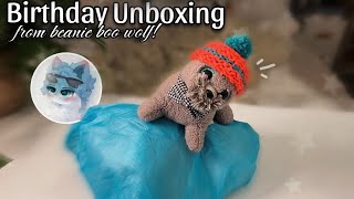 Unboxing from BeanieBooWolf for my Birthday 🎉 [upl. by Nhguav]