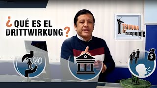 ¿QUÉ ES EL DRITTWIRKUNG  TTR 12 [upl. by Patnode]