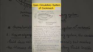 open circulation in cockroach biology zoology shortsfeed shorts viralshorts trending [upl. by Brenton]