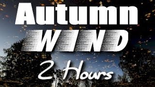 Autumn Wind Sounds  2 Hour Long Relaxing Nature Sounds for Sleep [upl. by Celeski556]