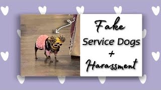 SERVICE DOG HARASSMENT COMPILATION [upl. by Ailaham]