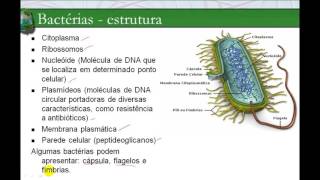 Reino Monera – as bactérias e cianobactérias – características [upl. by Sheff]