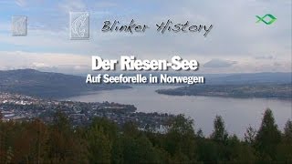 Auf Seeforelle in Norwegen Blinker History [upl. by Yroc]