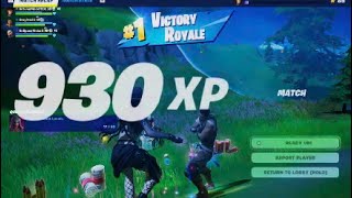 Fortnite Pickaxe Victory Teammates Sh0ts Werent Registering [upl. by Lotsyrc704]