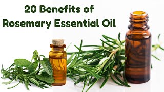 20 Benefits of Rosemary Essential Oil Uses and Side Effects [upl. by Merritt]