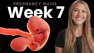 7 Week Pregnancy  Week By Week Pregnancy [upl. by Gottwald]