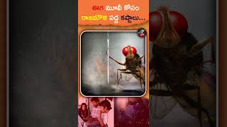 Rajamouli Struggles For Eega Movie  Nani  Samantha Ruth Prabhu  Kichassudeep tollywood [upl. by Notla]