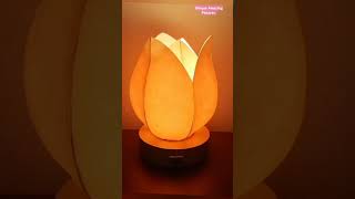 Unique Amazing Table Lamps home unique craft uniques viralvideo [upl. by Emeline]