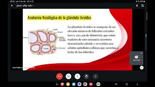 Endocrinología 29 tiroides [upl. by Airdna861]