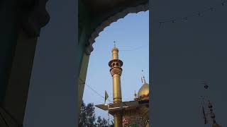 Ya Shahida Karbala Ali 💚shortviralvideo [upl. by Venetis]