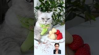 ASINAN STRAWBERRY pets food fruit ngeshortsdulu [upl. by Godbeare]