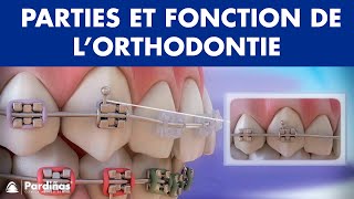 Appareil dentaire – Parties et fonction de l’orthodontie © [upl. by Kubis]