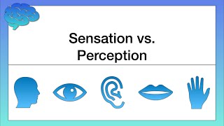 What’s the Difference between Sensation and Perception [upl. by Aleirbag]