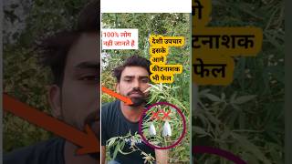 भंग से करें कीट नियंत्रण agriculture farming organicfarmingshortsviral [upl. by Eicyac]