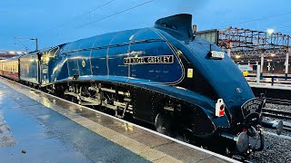 Class 47 47805 D1935 leads A4 Sir Nigel Gresley Steam Locomotive into Crewe station [upl. by Enaenaj457]