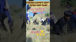 የሉም ጠፈተዋል ሲሉ ኖረን duet abelbirhanuየወይኗልጅ habesha ethioforumኢትዮፎረም amharic yetbitubeየተንቢ [upl. by Lanta]