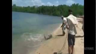 Crocodile Attacks Australian Fisherman [upl. by Yelreveb991]