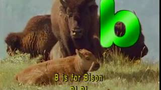 Zoo Animals for kids  Alphabet Animal AZ  az animal alphabets  Alphabetimals ABC  Alphabet zoo [upl. by Isabelita3]