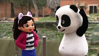 PANDA FLASH COM A GABBY 📸 [upl. by Donough583]