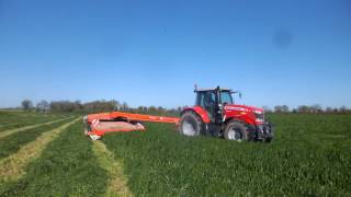 fauchage de ray grass 2017 massey ferguson et faucheuse Kuhn 3m50 [upl. by Valeda]