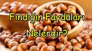 Fındığın Faydaları Nelerdir [upl. by Annaihs]