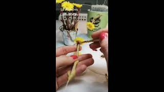 1 minute clay coltsfoot [upl. by Eirbua167]