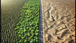 11 Incredible Projects Turning Lifeless Deserts Into Lush Forests [upl. by Eiddal]