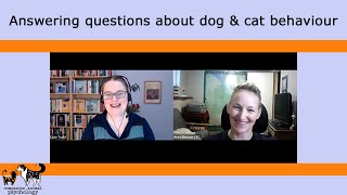 Answering questions about dog and cat behaviour Enrichment barking stress and cooperative care [upl. by Leroy630]