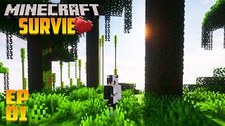 MINECRAFT NOUVELLE AVENTURE SURVIE 1201 [upl. by Uzziel]