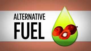 Palm Oil  Biofuel [upl. by Goulder]