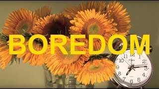 Boredom  Tyler The Creator Lyrics [upl. by Chucho]